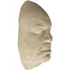 Image 2 : Tor Johnson Life Mask