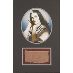 Swatch from Original Lily Munster Costume