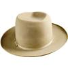 Image 1 : Franklin D. Roosevelt's Stetson Hat