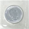 Image 2 : 1 Oz .9999 Fine Silver 2006 Canada Maple Leaf Coin