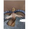 Image 3 : Taxidermy Impala head mount w/tag number