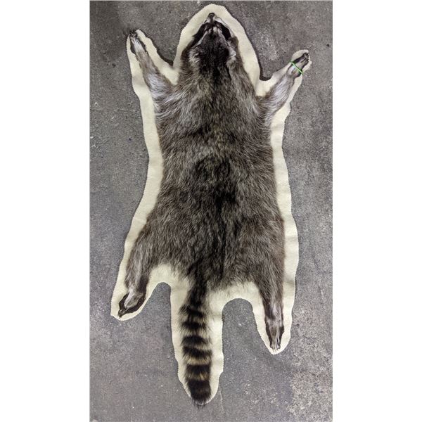 Raccoon fur hide