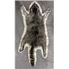 Image 1 : Raccoon fur hide