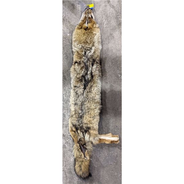 Bobcat fur hide