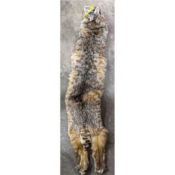 Bobcat fur hide