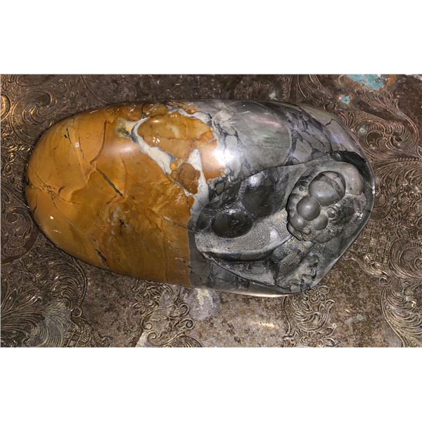 6 Inch polished stone w/ carved turtle sculpture