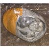 Image 2 : 6 Inch polished stone w/ carved turtle sculpture