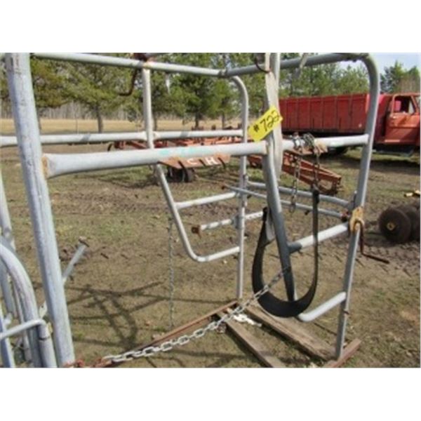 CATTLE SQUEEZE C/W CALF LIFT FOR TRIMMING