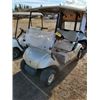 Image 1 : 2007 YAMAHA GOLF CART
