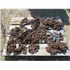Image 1 : PALLET OF APPROX 10 CHAINS & BOOMER