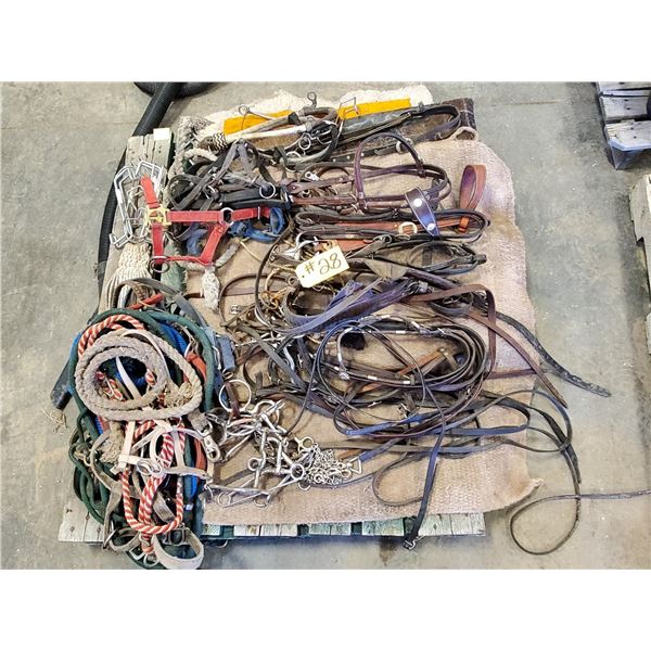 8 BRIDLES, REINS, 3 HACKMORES, 4 COLT HALTERS, 3 SADDLE BLANKETS