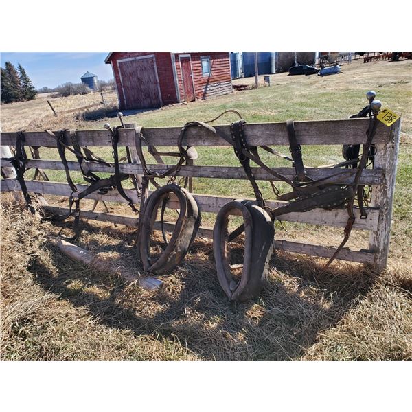 SET OF HORSE HARNESS, 2 COLLARS & BRIDLES