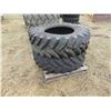 Image 1 : 2 - TITAN 16.9R28 TIRES (BOTH FOR ONE MONEY)