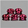 Image 1 : Natural  Rhodolite Garnet 5 Pcs[Flawless-VVS]