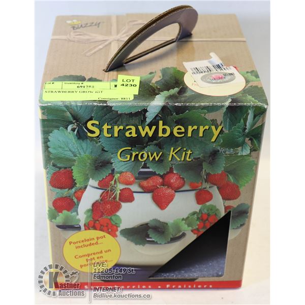 STRAWBERRY GROW KIT