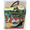 Image 1 : STRAWBERRY GROW KIT