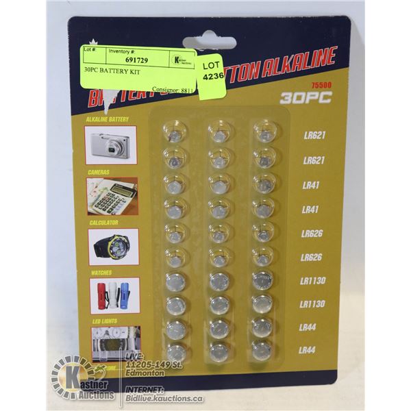 30PC BATTERY KIT