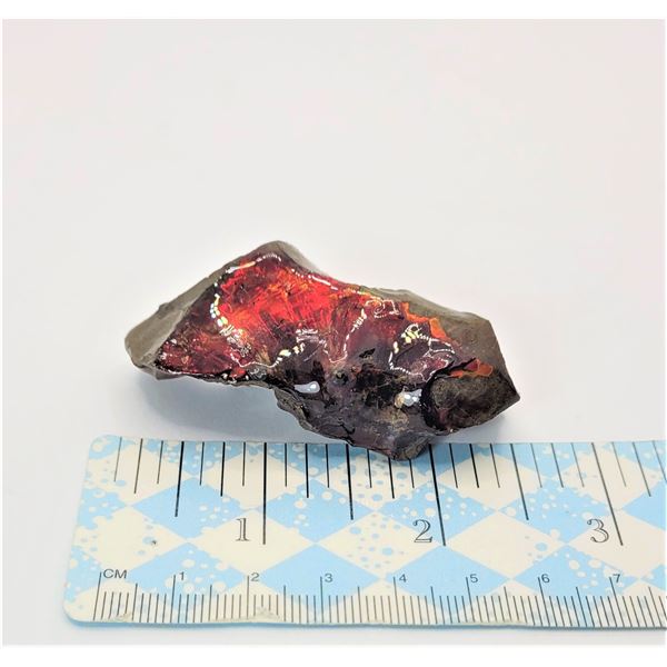 10)  NATURAL AMMOLITE RED FIRE MINERAL SPECIMEN MEASURES 2.5" X 1.", WEIGHS 39.4 GRAMS.  COLLECTIBLE