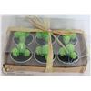 Image 1 : 6 PACK OF CACTUS TEA LIGHTS