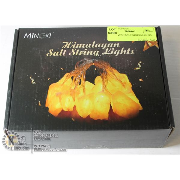 HIMALAYAN SALT STRING LIGHTS