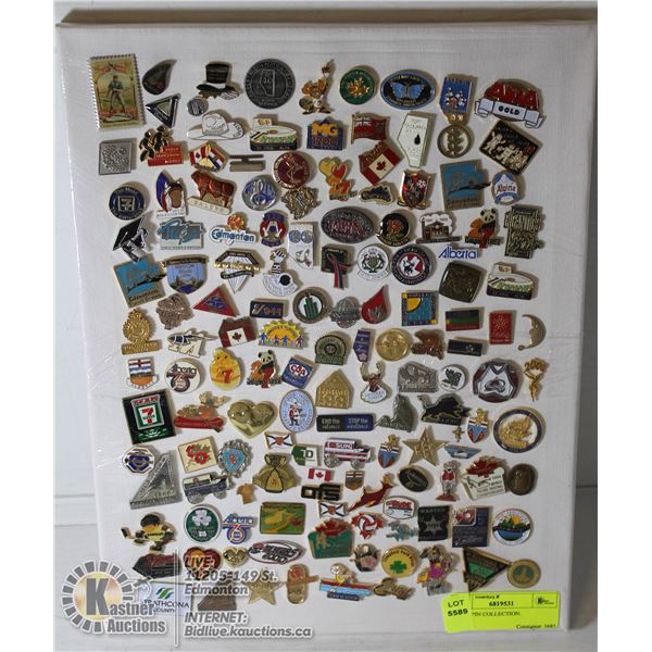 LAPEL PIN COLLECTION. GOVT, SPORTS, CITY, CLUB, LOTTERY, HEALTH, ETC.       COLLECTIBLES.
