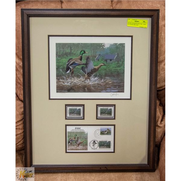 DUCKS UNLIMITED PICTURE - FIRST OF NATION IRELAND