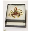 Image 1 : SCORPION RHINESTONE BROOCH