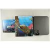Image 3 : 2010 AUSTRALIA COLORIZED MORAY EEL SILVER PF