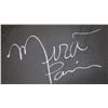 Image 2 : Mira Paris Signed Artwork, Acrylic, Framed  [132268]