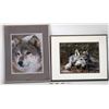 Image 2 : Wolf Photos and Art Collection - 14 Pieces  [125194]