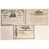 Image 1 : Different WH Vanderbilt Autographs on American Railroad Stock Certificates  [132739]