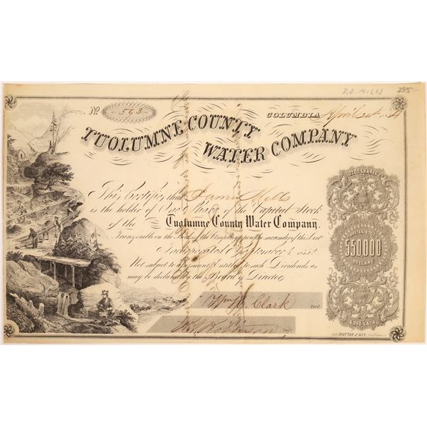 Tuolumne County Water Co. Stock Signed by D.O. Mills  [134064]