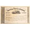 Image 1 : American Express Stock Certificate  [132743]