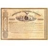Image 1 : American Express Certificate Type III Signed by Wells, Fargo, and Holland  [132749]