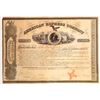 Image 1 : American Express Company Stock Certificate   [132700]