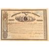 Image 1 : American Express Co. Stock Certificate (Wells, Fargo, Holland Signatures)  [134077]