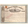 Image 1 : American Express Co. Stock Certificate (Wells, Fargo, Holland Signatures)  [134078]