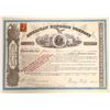 Image 1 : American Express stock certificate, type VII, signed by Wells and Fargo.   [132708]
