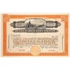 Image 1 : Wells Fargo & Company Specimen Stock Certificate  [134062]