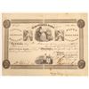 Image 1 : Schuylkill Bank Stock Certificate  [134114]