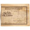 Image 1 : Bank of the United States of America Stock Certificate  [134149]