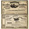 Image 1 : Two San Francisco Stock Certificates: Pacific Guano Co. and Oriental Insurance Co.  [135408]
