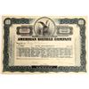 Image 1 : American Bicycle Company 1903 Stock Certificate  [127964]