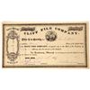Image 1 : Cliff File Company Stock Certificate New York 1869  [127612]