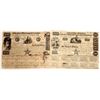 Image 1 : $100 and $500 Republic of Texas Certified Stock and Bond  [130165]