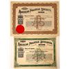 Image 1 : American Philatelic Association and Society Stock Certificates (2)  [127987]