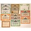 Image 1 : Iron and Steel Foundries Stock Certificates (12)  [127606]