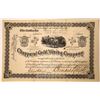Image 1 : Chapparal Gold Mining Stock, Kelsey District, El Dorado County, Cal. 1882  [129563]