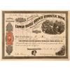 Image 1 : Etowah & Battle Branch Hydraulic Hose Mining Company Stock Certificate  [101772]