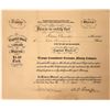 Image 1 : Tramps Consolidated Extension Mining Company Stock  [130112]